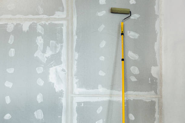 Best Mold Prevention Services  in Monterey, TN